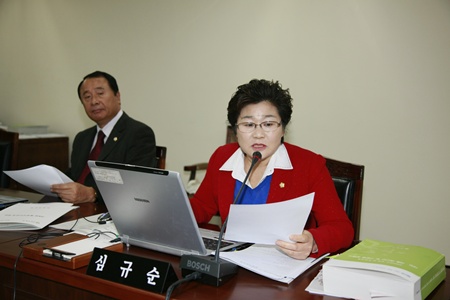 예산안심사