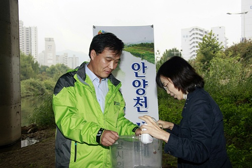 안양천 생태탐사