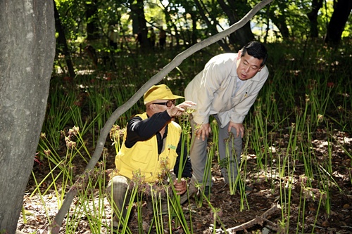 상림숲방문