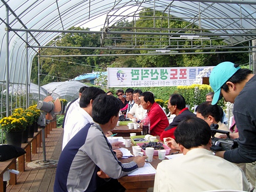 포도 재배농장 방문